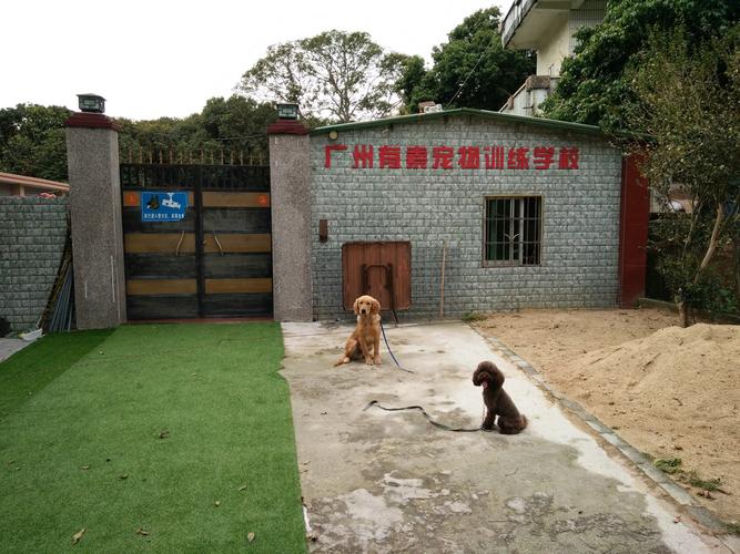 广州宠物学校哪个好一些
